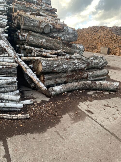 INDAUC 1001: Kiln Dried Logs