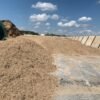 Maize Sileage